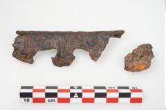 Foto von Eisendolchmesser (NHMW-PRAE-025690)